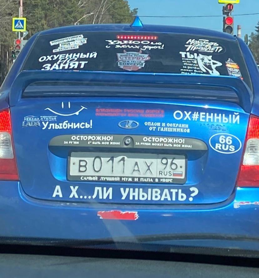 Моя ласточка