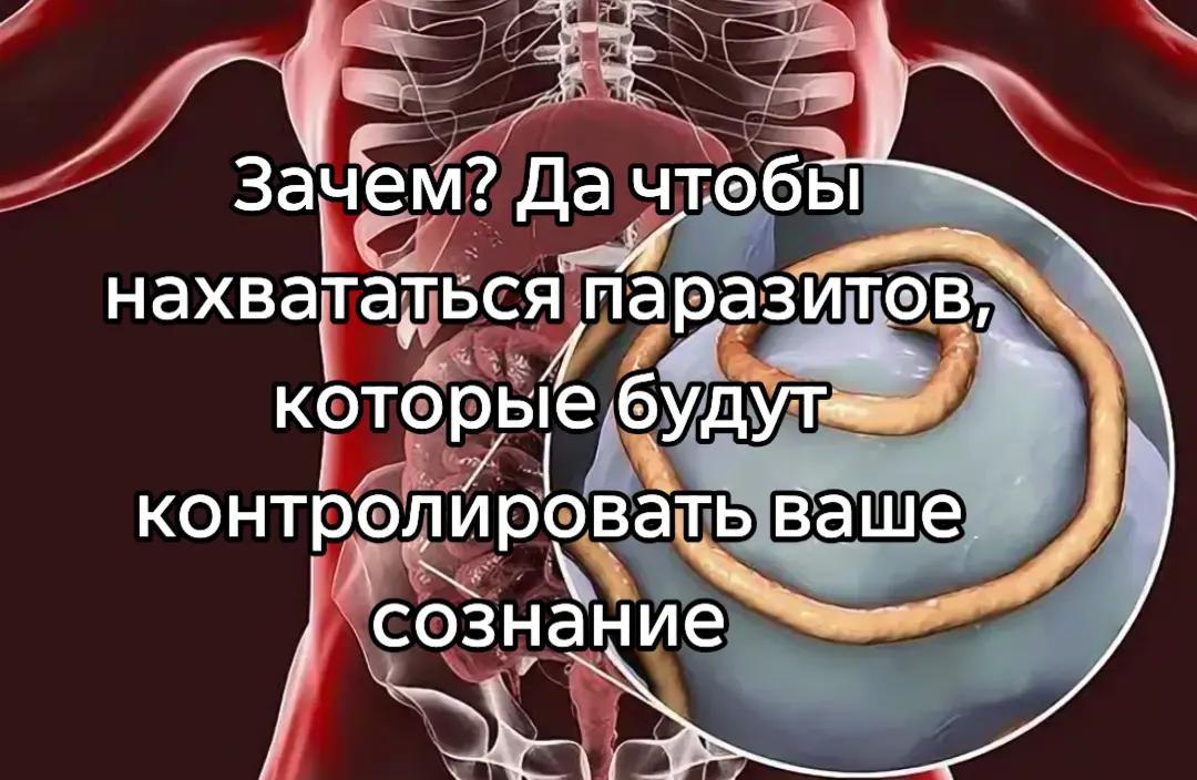 зачем? Да чтобы нахвататься паразитов,“ KOTO контролировать ваше сознание