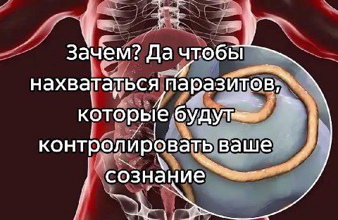 зачем? Да чтобы нахвататься паразитов,“ KOTO контролировать ваше сознание