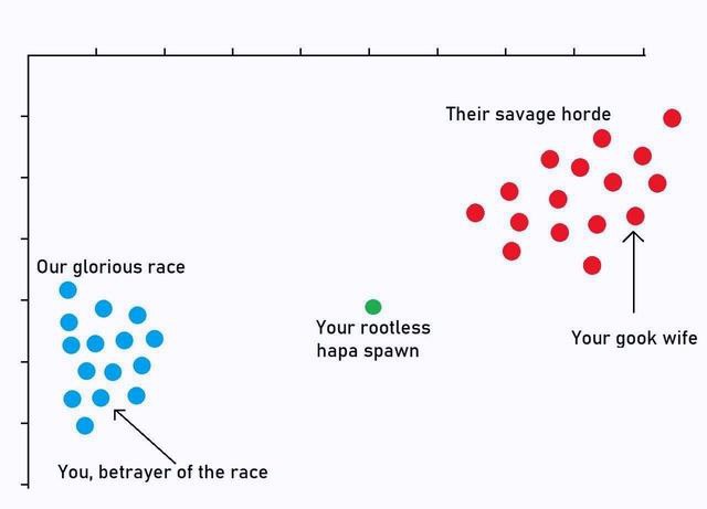 Their savage horde 9 о Our glorious race Your rootless Your gook wife hapa spawn You, betrayer of the race