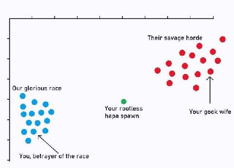 Their savage horde 9 о Our glorious race Your rootless Your gook wife hapa spawn You, betrayer of the race