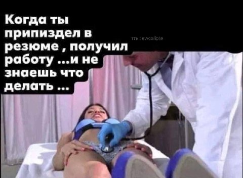 МЕМЫ ОТ БИМО