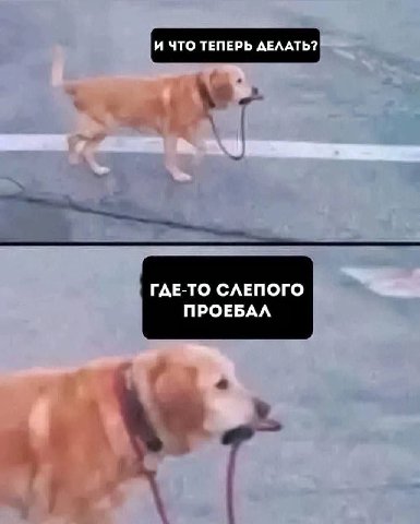И ЧТО ТЕПЕРЬ ДЕЛАТЬ? ГДЕ-ТО СЛЕПОГО ПРОЕБАЛ