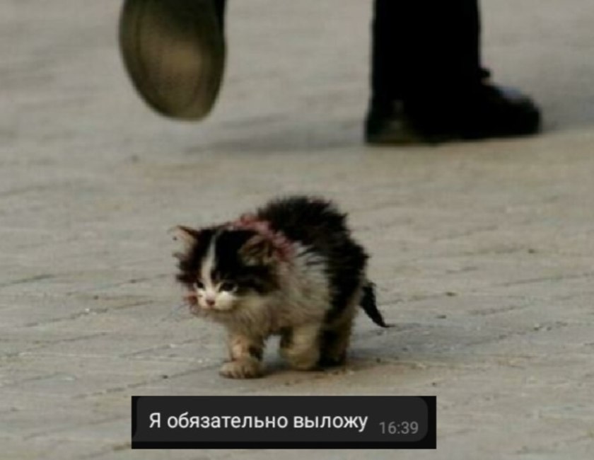 ситуация с мемами в канале би лайк