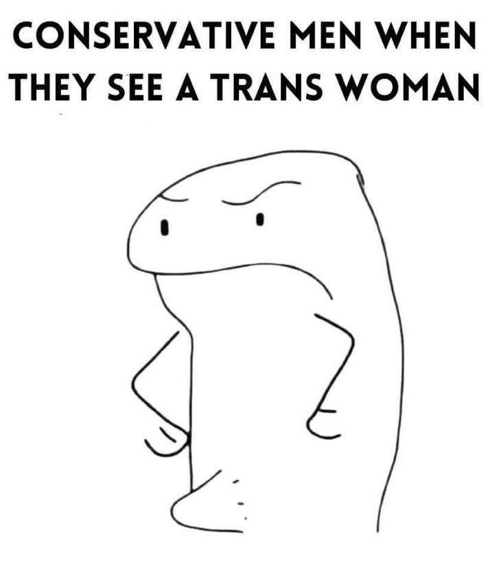 CONSERVATIVE MEN WHEN THEY SEE A TRANS WOMAN