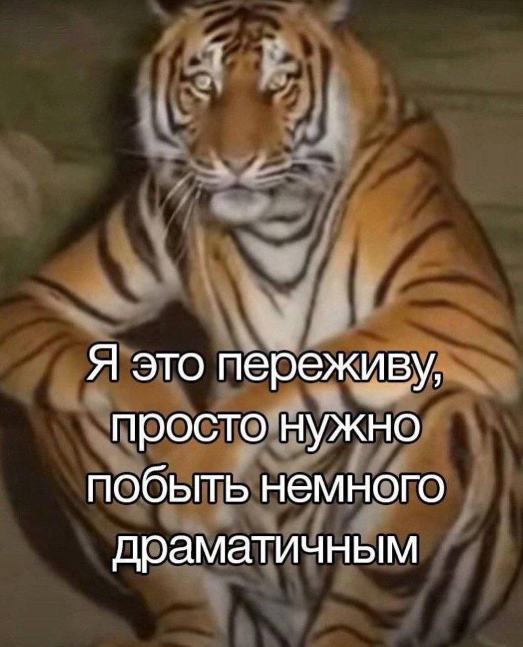 Я это переживу, просто нужно побыть немного драматичным