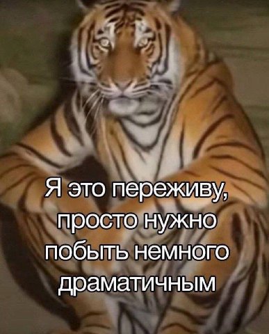 Я это переживу, просто нужно побыть немного драматичным