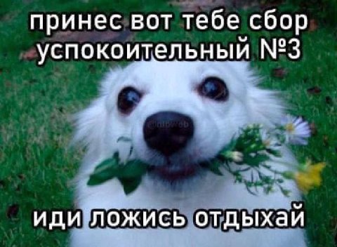 принес вот тебе сбор успокоительный №3 иди ложись отдыхаи