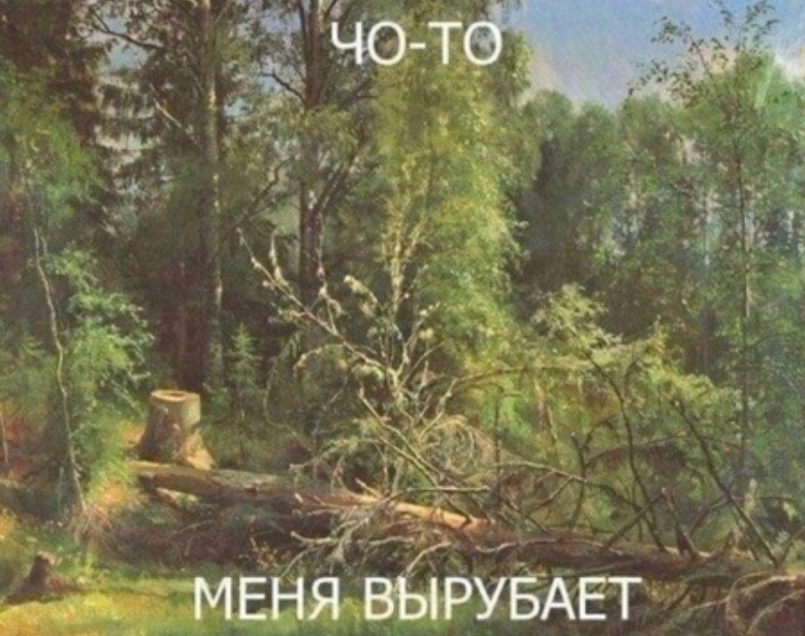 МЕНЯ ВЫРУБАЕТ