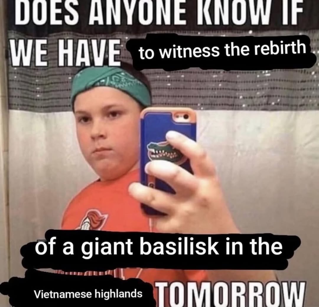 АМТОМЕ KNOW IF WE HAVE to rebirth ofa giant basilisk in the Vietnamese highlands ТО 0 0