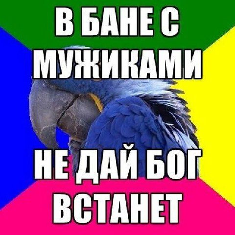 BAHEC ННИНАМИ HE ДАЙ ВСТАНЕТ
