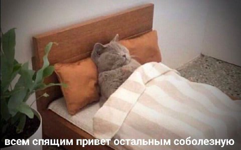 всем спящим привет остальным соболезную