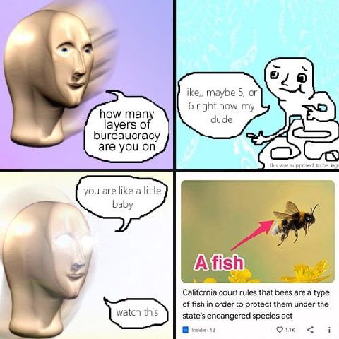like,, maybe 5, how man 6 right now. my dude layers о bureaucracy are you on this was be you are like a little baby LNG IS California rules that bees are a type of fish in order to protect them under 