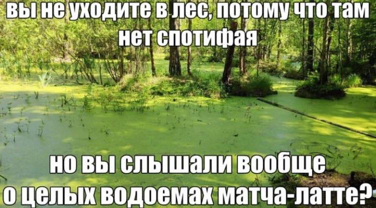 В Nec, потому ЧТО там НЕТ We: но вы слышали вообще о целых водоемах матча-латтез