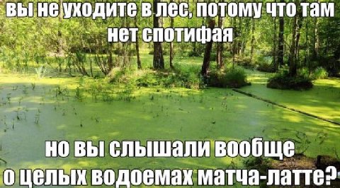 В Nec, потому ЧТО там НЕТ We: но вы слышали вообще о целых водоемах матча-латтез