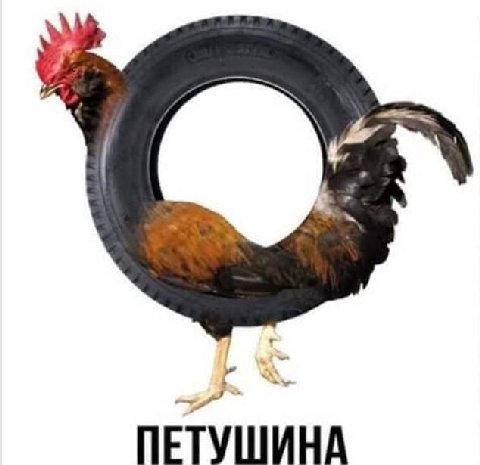 ПЕТУШИНА