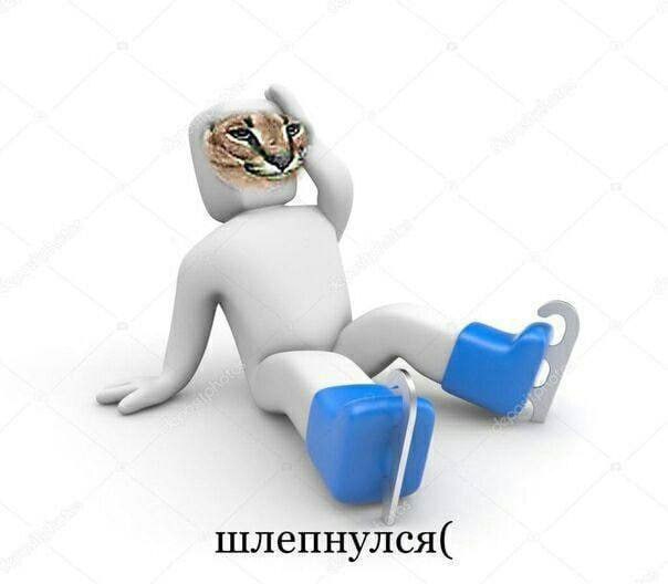 шлепнулся(