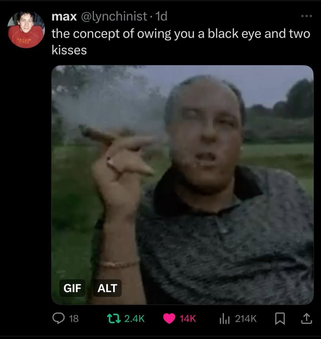 тах @lynchinist the concept of owing you a black eye and two kisses GIF А 18