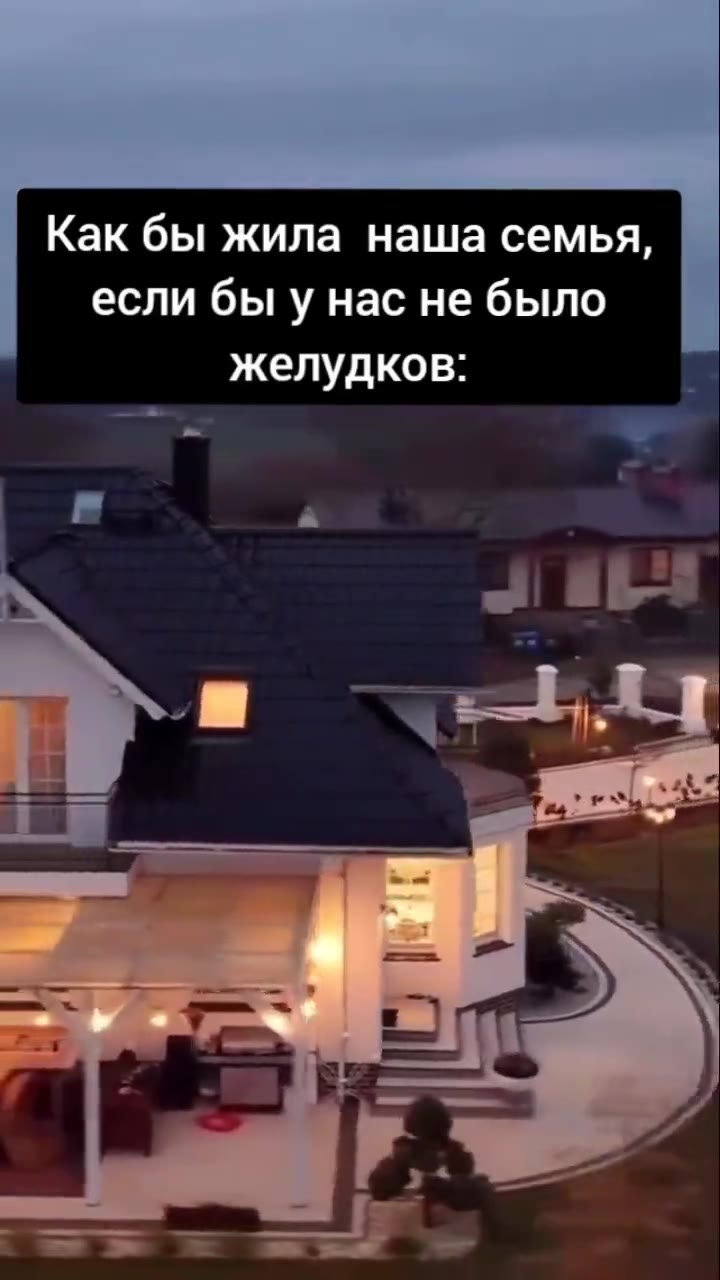 Как бы жила наша семья, желудков: