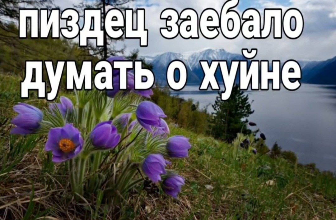думать о хуине