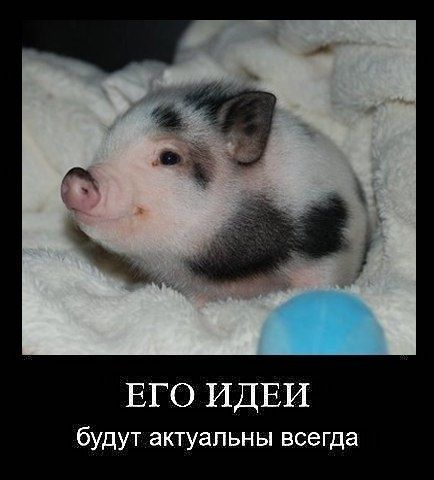 ЕГО ИДЕИ будут актуальны всегда