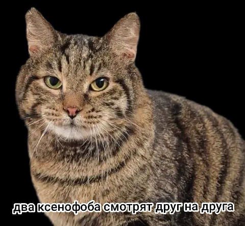 друга