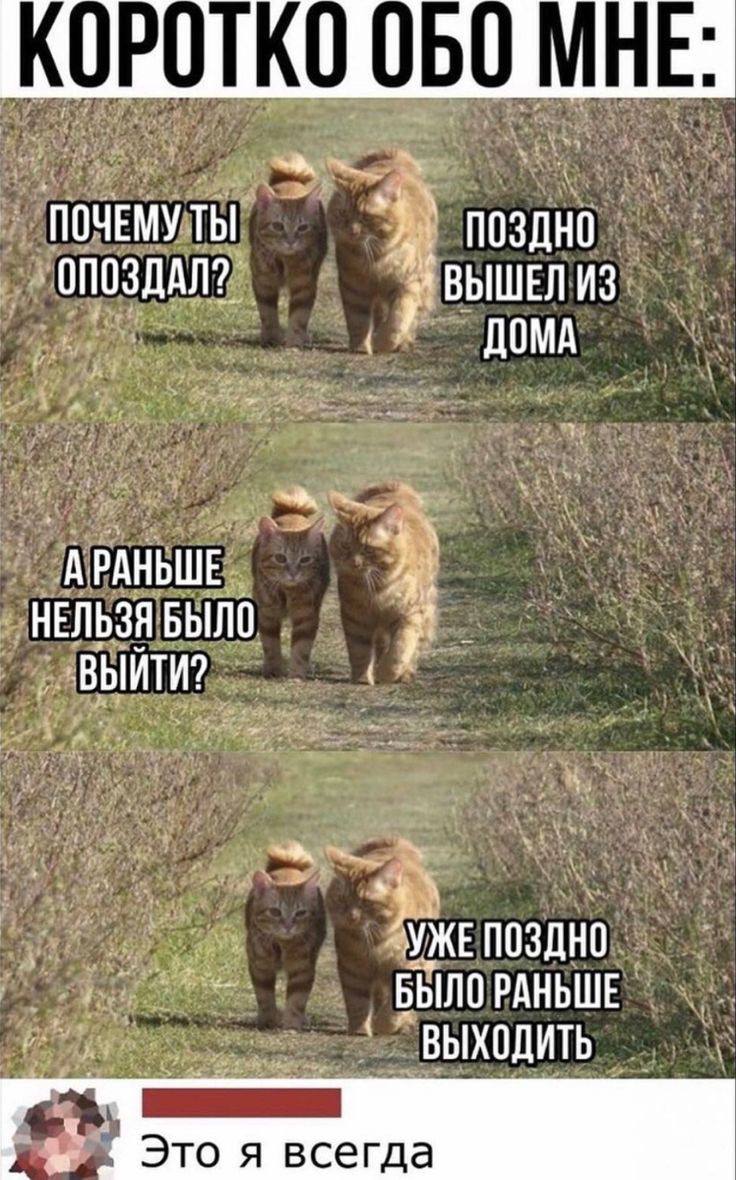 ПОЧЕМУ ТЫ ПОЗДНО ОПОЗДАЛ? ИЗ ДОМА НЕЛЬЗЯ БЫЛО ВЫИТИ? “УЖЕ БЫЛО РАНЬШЕ ВЫХОДИТЬ Это я всегда