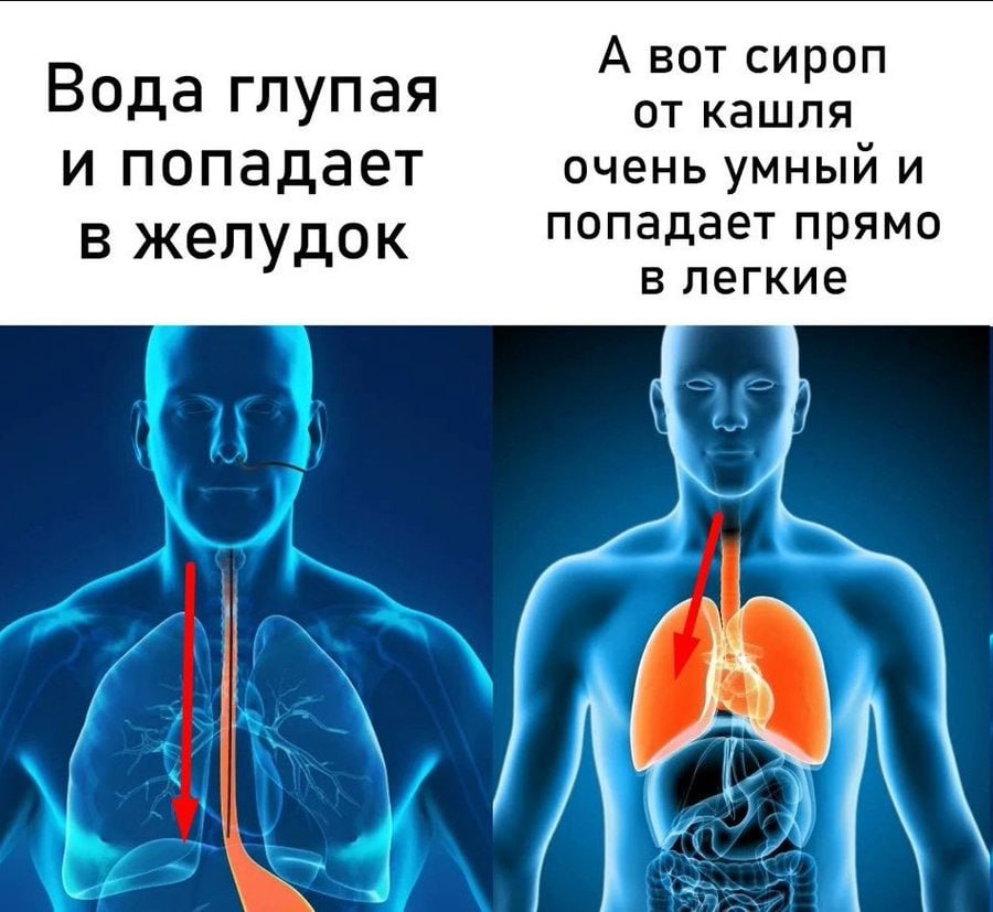 А вот сироп Вода глупая от кашля и попадает очень умный и в желудок попадает прямо в легкие