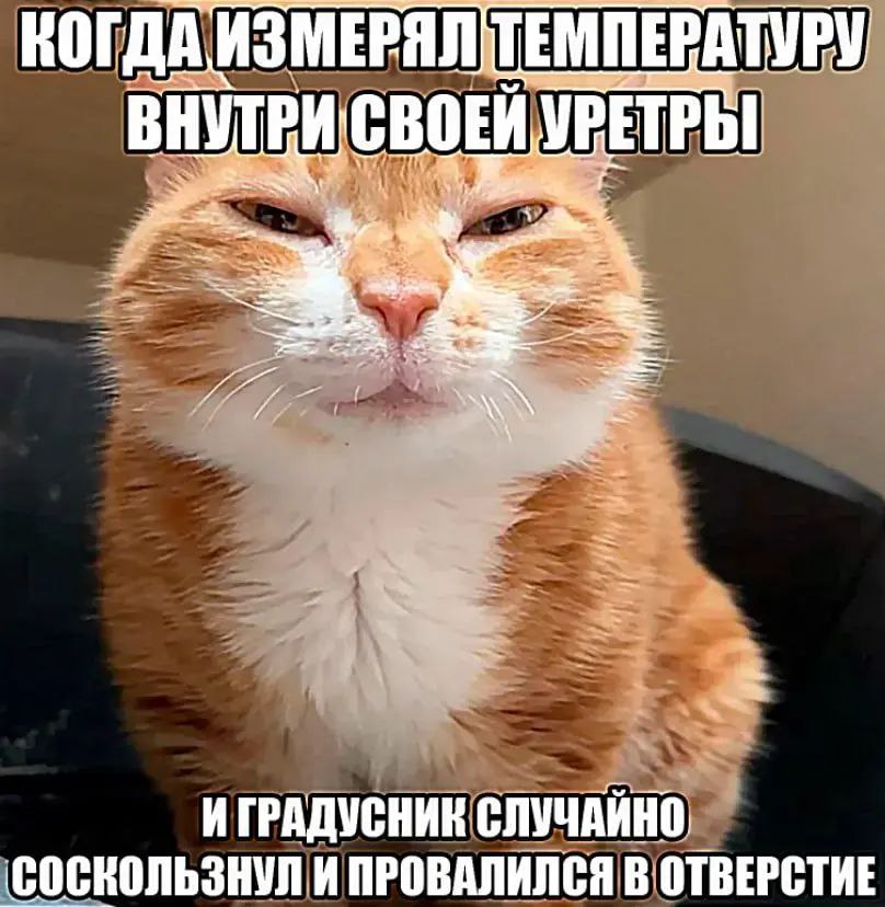 КОГДА ИЗМЕРЯЛ ТЕМПЕРАТУРУ МРЕТРЫ 2 И РАДУСНИК СЛУЧАЙНО ПРОВАЛИЛСЯ