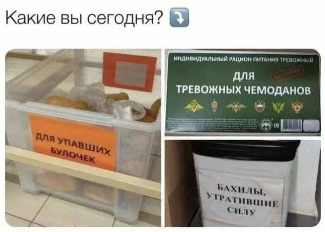 Какие вы сегодня? ИНДИВИДУАЛЬНЫЙ РАЦИОН ПИТА! AVIA ТРЕВОЖНЫХ ЧЕМОДАНОВ