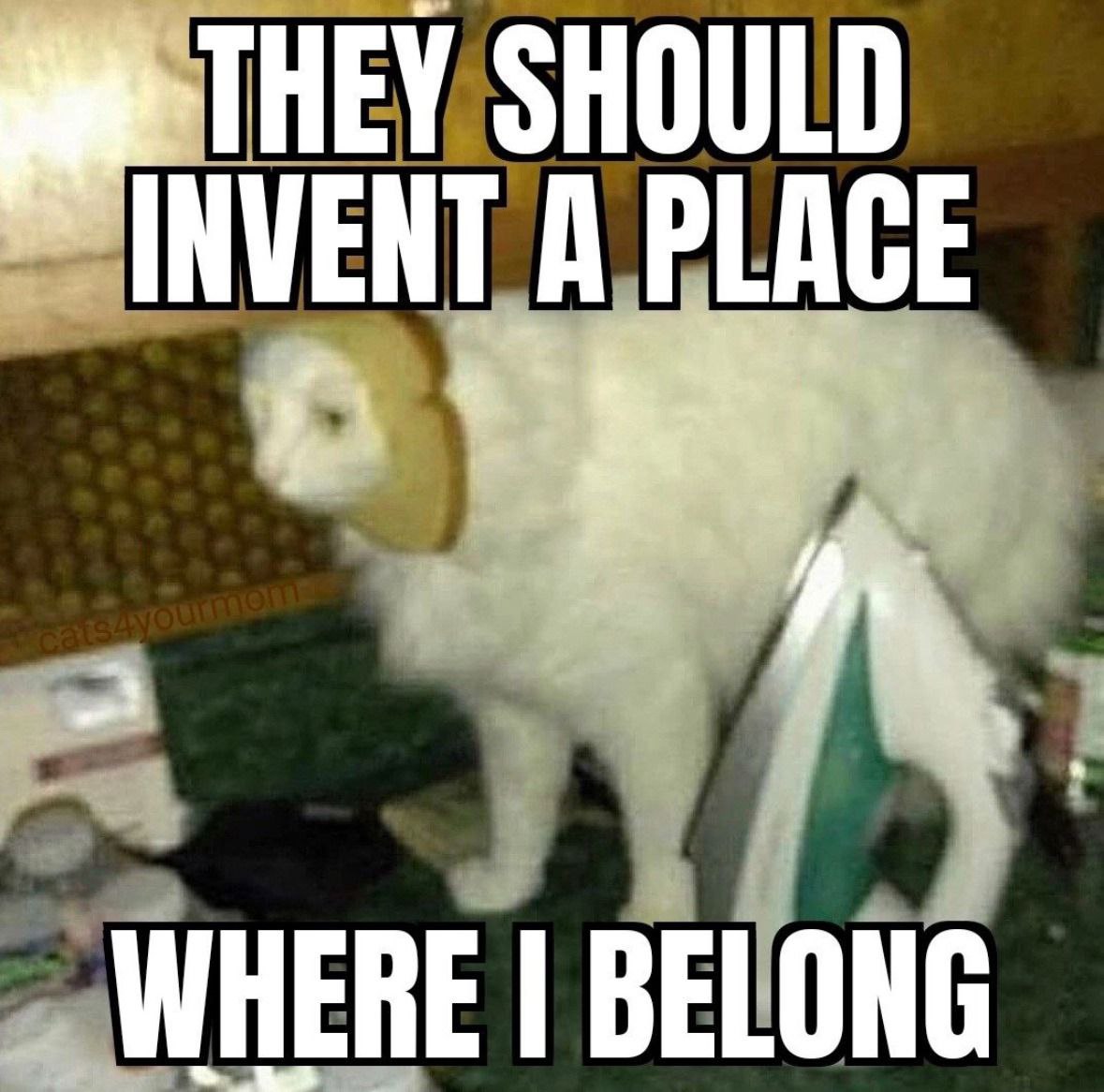 INVEN WHERE BELONG