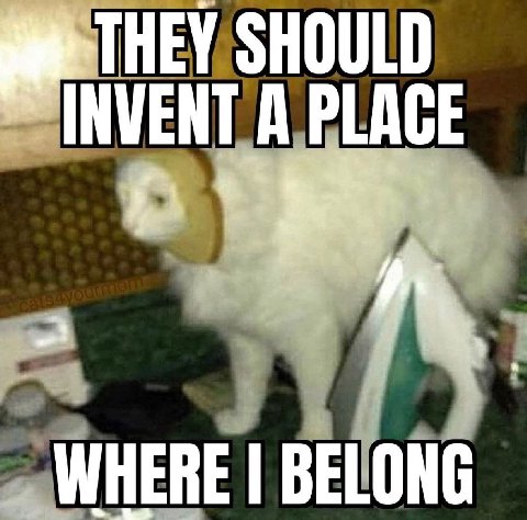 INVEN WHERE BELONG