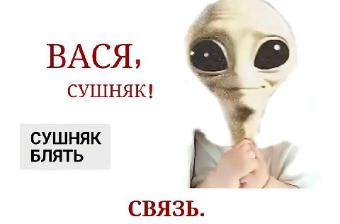 ВАСЯ, СУШНЯК! СУШНЯК БЛЯТЬ СВЯЗЬ.