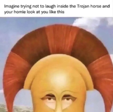 Imagine trying not to laugh inside the Trojan horse and your homie look at you like this