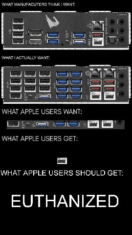 WHAT MANUFACUTERS THINK WANT: WHAT ACTUALLY WANT. 1 WHAT APPLE USERS WANT: WHAT APPLE USERS СЕТ: WHAT APPLE USERS SHOULD СЕТ:
