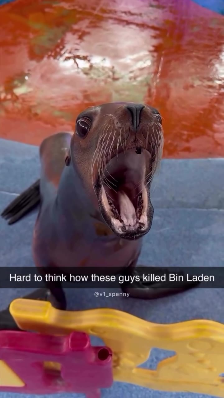 Hard to think how these guys killed Вт Laden