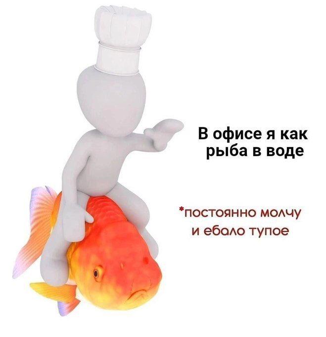 В офисе я как рыба в воде *постоянно молчу и еболо тупое