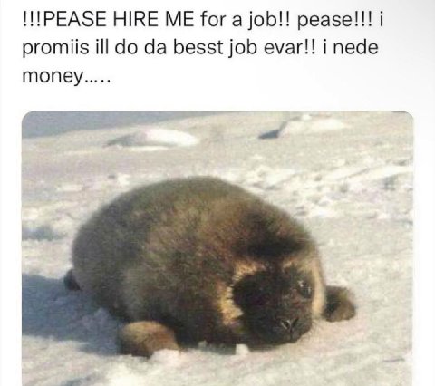 HIRE ME for a job!! pease!!! 1 promiis ill besst job evar!! i nede money.....