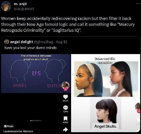 anjé Women keep accidentally rediscovering racism but then filter it back through their New Age femoid logic and call it something like "Mercury Retrograde Criminality" or "Sagittarius 10". angel deli