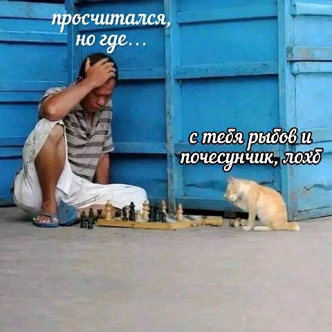 просчитался, но где... с тебя рыдов и почесунчик,