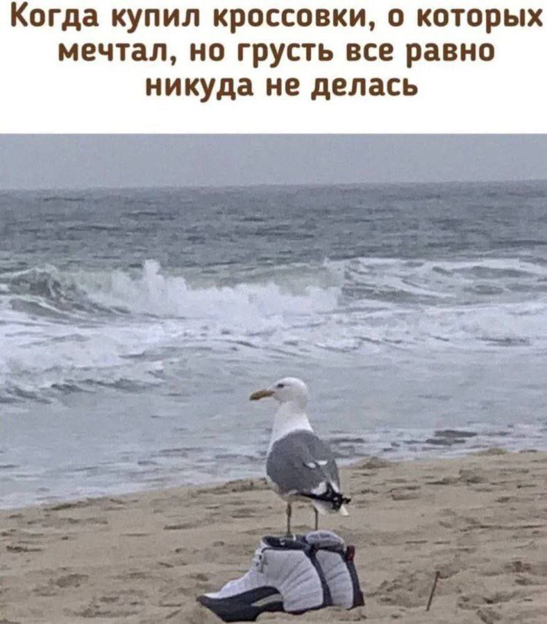 Когда купил кроссовки, о которых мечтал, но грусть все равно никуда не делась