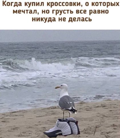 Когда купил кроссовки, о которых мечтал, но грусть все равно никуда не делась