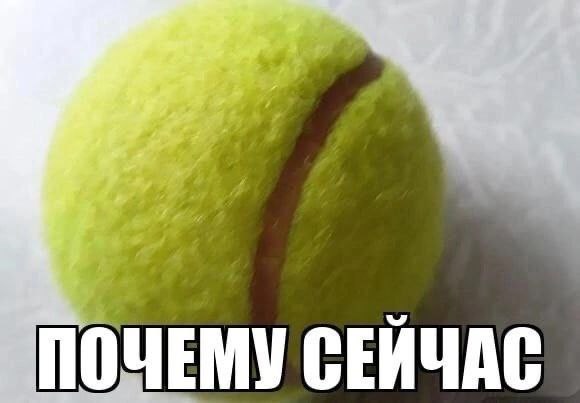 ПОЧЕМУ СЕЙЧАС