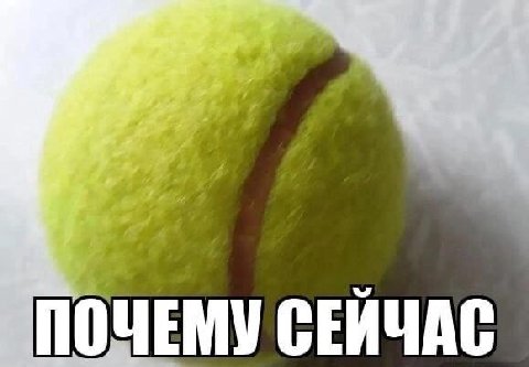 ПОЧЕМУ СЕЙЧАС
