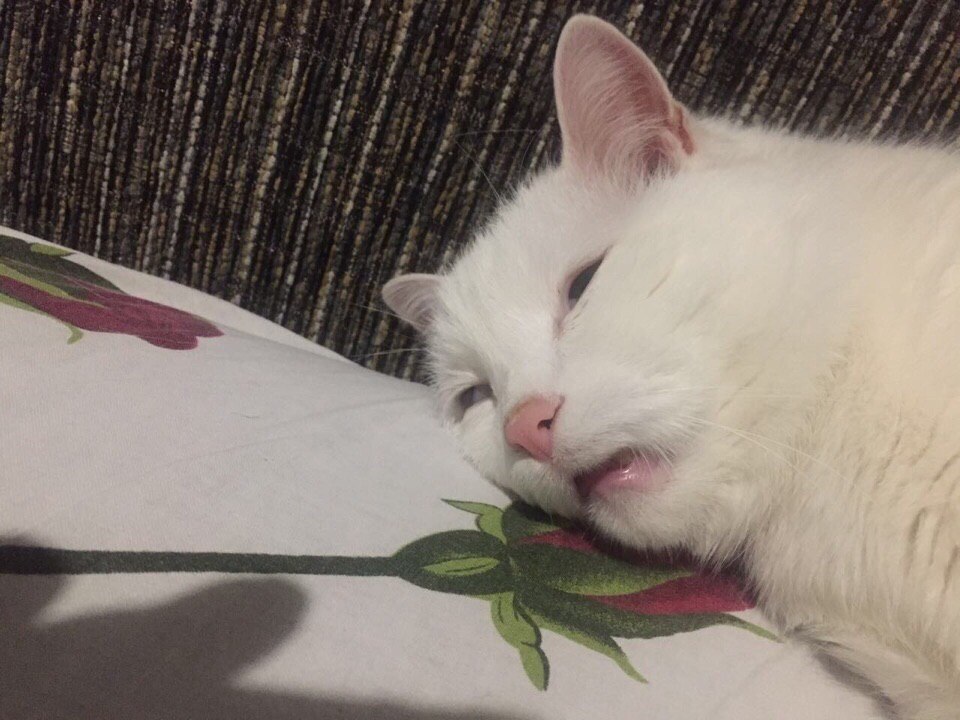 у