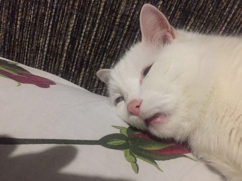 у