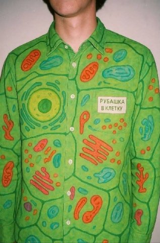 4 у, \7 РУБАШКА В КЛЕТ В КЛЕТКУ i 7 А ail 4 А I Fay я [7 4