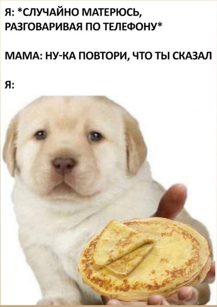 Я: *СЛУЧАЙНО МАТЕРЮСЬ, РАЗГОВАРИВАЯ ПО ТЕЛЕФОНУ* МАМА: НУ-КА ПОВТОРИ, ЧТО ТЫ СКАЗАЛ Я У