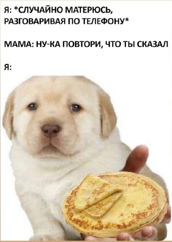 Я: *СЛУЧАЙНО МАТЕРЮСЬ, РАЗГОВАРИВАЯ ПО ТЕЛЕФОНУ* МАМА: НУ-КА ПОВТОРИ, ЧТО ТЫ СКАЗАЛ Я У