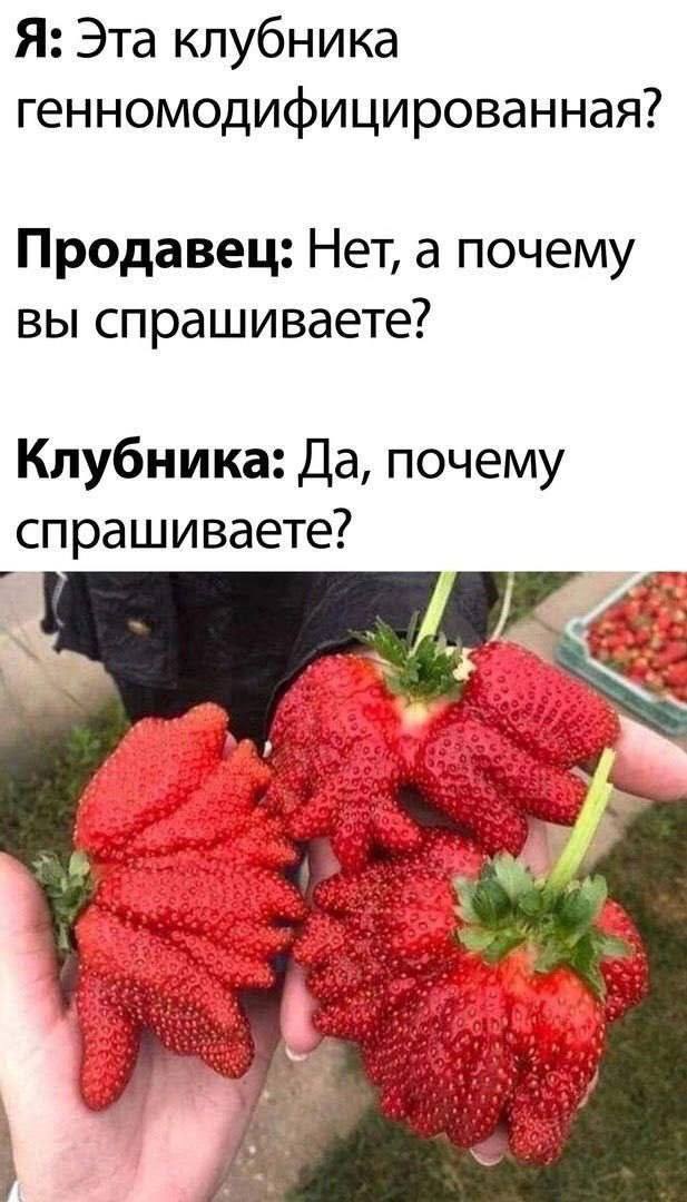 Я: Эта клубника генномодифицированная? Продавец: Нет, а почему вы спрашиваете? Клубника: Да, почему спрашиваете? 4 leg